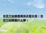 龙舌兰姑娘是男孩还是女孩（龙舌兰姑娘是什么梗）