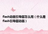 flash动画引导层怎么用（什么是flash引导层动画）