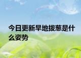 今日更新旱地拔葱是什么姿势