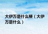 大伊万是什么梗（大伊万是什么）