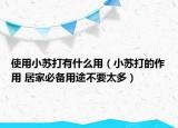 使用小苏打有什么用（小苏打的作用 居家必备用途不要太多）