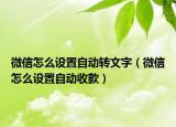 微信怎么设置自动转文字（微信怎么设置自动收款）