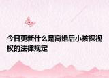 今日更新什么是离婚后小孩探视权的法律规定