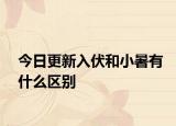 今日更新入伏和小暑有什么区别