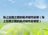 海上丝绸之路的起点城市是哪（海上丝绸之路的起点城市是哪里）