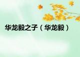 华龙毅之子（华龙毅）