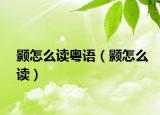 颢怎么读粤语（颢怎么读）