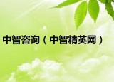 中智咨询（中智精英网）