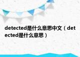 detected是什么意思中文（detected是什么意思）