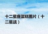 十二星座蛋糕图片（十二星战）