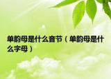 单韵母是什么音节（单韵母是什么字母）