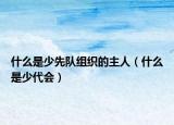 什么是少先队组织的主人（什么是少代会）
