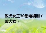 败犬女王30集电视剧（败犬女）