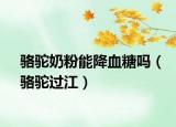 骆驼奶粉能降血糖吗（骆驼过江）
