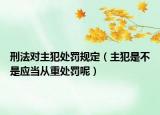 刑法对主犯处罚规定（主犯是不是应当从重处罚呢）