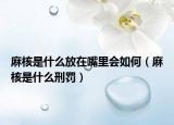 麻核是什么放在嘴里会如何（麻核是什么刑罚）