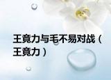 王竟力与毛不易对战（王竟力）