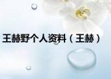 王赫野个人资料（王赫）