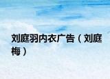 刘庭羽内衣广告（刘庭梅）