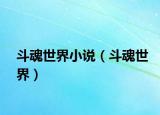 斗魂世界小说（斗魂世界）