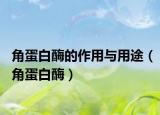 角蛋白酶的作用与用途（角蛋白酶）