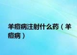 羊痘病注射什么药（羊痘病）