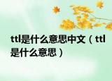 ttl是什么意思中文（ttl是什么意思）