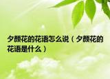 夕颜花的花语怎么说（夕颜花的花语是什么）