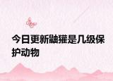 今日更新鼬獾是几级保护动物