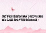 微信不能发语音如何解决（微信不能发语音怎么设置 微信不能语音怎么处理）