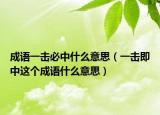 成语一击必中什么意思（一击即中这个成语什么意思）