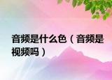 音频是什么色（音频是视频吗）