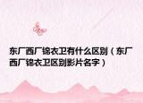 东厂西厂锦衣卫有什么区别（东厂西厂锦衣卫区别影片名字）