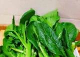 今日更新菜心怎么炒（素炒菜心的做法  ）