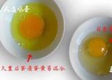 如何识别假鸡蛋（如何辨别真假鸡蛋）