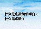 什么是虚数简单明白（什么是虚数）