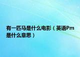 有一匹马是什么电影（英语Pm是什么意思）