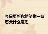 今日更新你的笑像一条恶犬什么意思