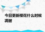 今日更新樱花什么时候凋谢