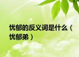 忧郁的反义词是什么（忧郁弟）