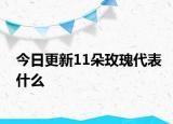 今日更新11朵玫瑰代表什么