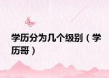 学历分为几个级别（学历哥）