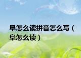 阜怎么读拼音怎么写（阜怎么读）