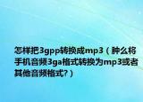 怎样把3gpp转换成mp3（肿么将手机音频3ga格式转换为mp3或者其他音频格式?）