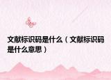 文献标识码是什么（文献标识码是什么意思）