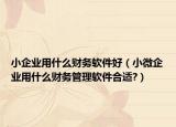 小企业用什么财务软件好（小微企业用什么财务管理软件合适?）