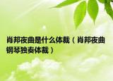 肖邦夜曲是什么体裁（肖邦夜曲 钢琴独奏体裁）