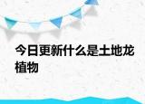 今日更新什么是土地龙植物
