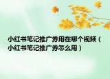 小红书笔记推广券用在哪个视频（小红书笔记推广券怎么用）