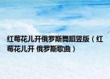 红莓花儿开俄罗斯舞蹈竖版（红莓花儿开 俄罗斯歌曲）